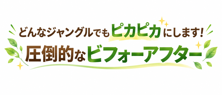 圧倒的なビフォーアフター