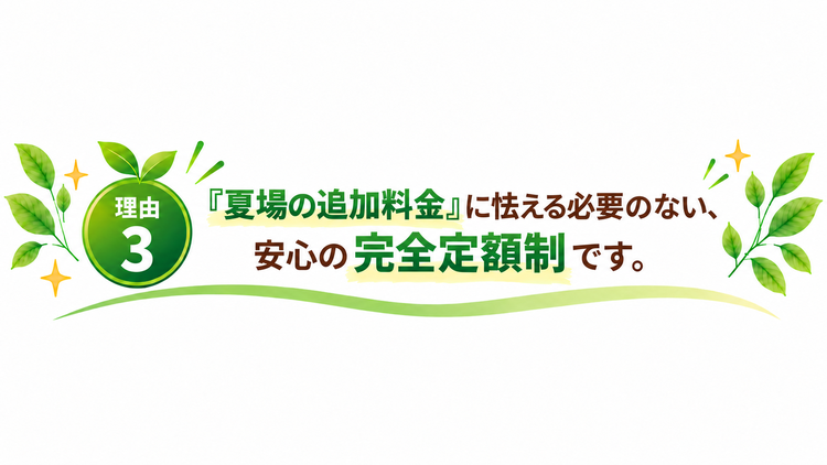 完全定額制