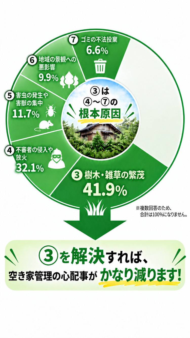 樹木・雑草の繁茂が根本原因