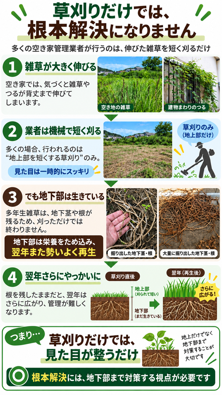 草刈りだけでは根本解決にならない